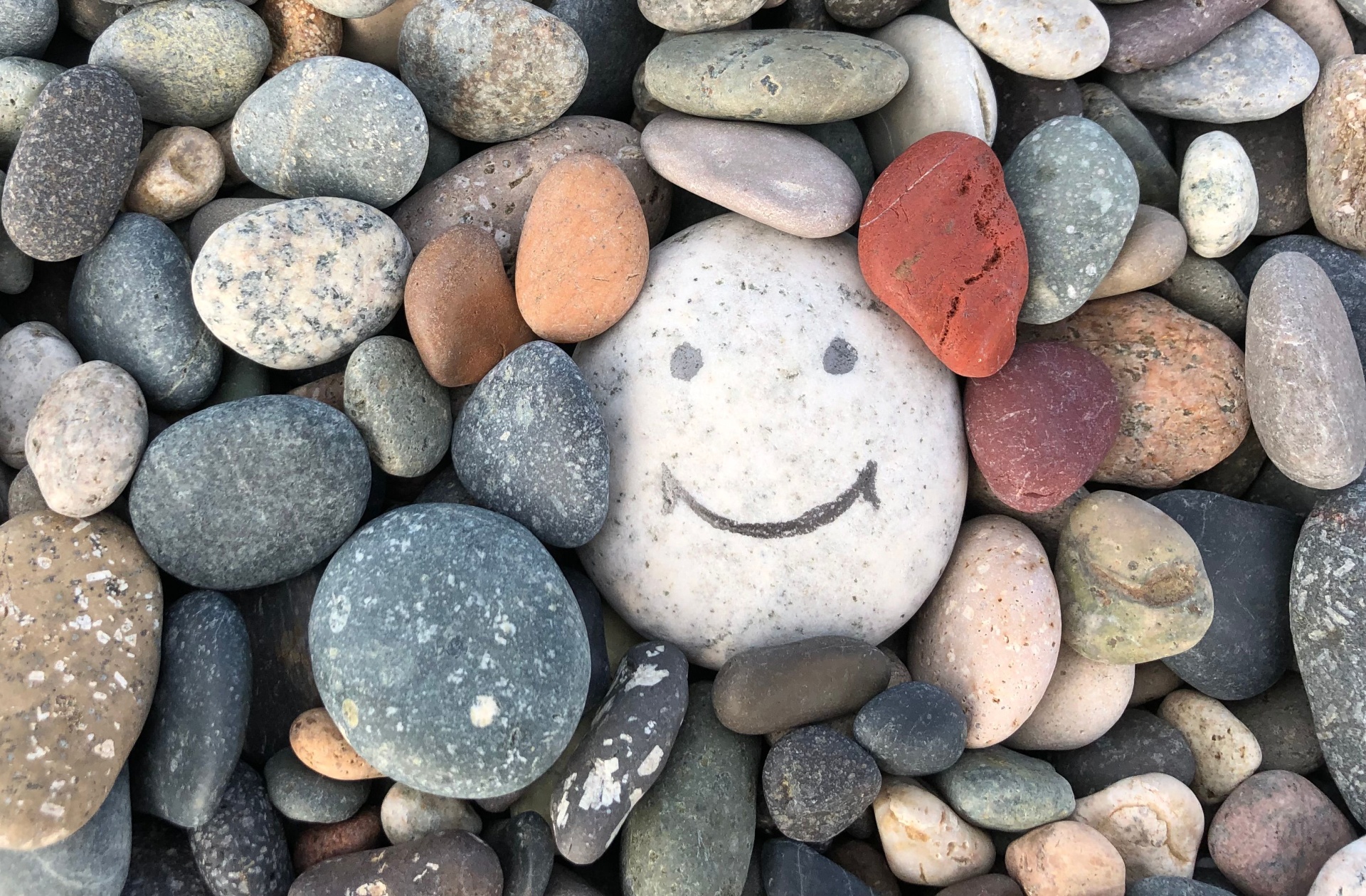 pile of rocks with one of them smiling 